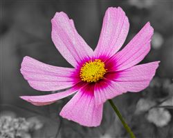 Photography by Malcolm J Smith