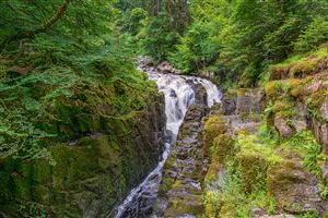 Photography by Malcolm J Smith