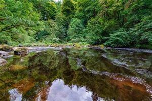 Photography by Malcolm J Smith