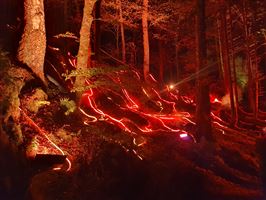 Photography by Malcolm J Smith
