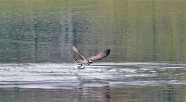 Photography by Malcolm J Smith