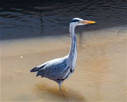Photography by Malcolm J Smith