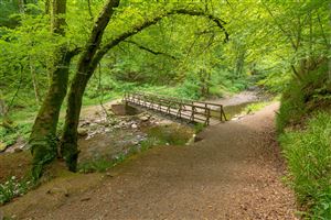 Photography by Malcolm J Smith