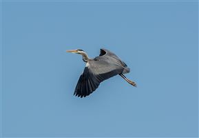 Photography by Malcolm J Smith