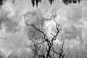 Photography by Malcolm J Smith