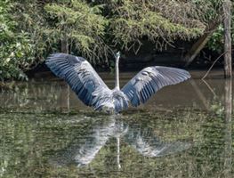 Photography by Malcolm J Smith