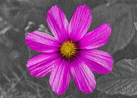 Photography by Malcolm J Smith