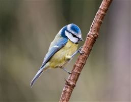 Photography by Malcolm J Smith