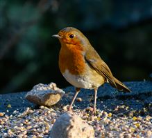 Photography by Malcolm J Smith