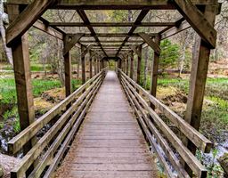Photography by Malcolm J Smith