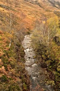 One of the waters that runs under the bridge to create the basin of 