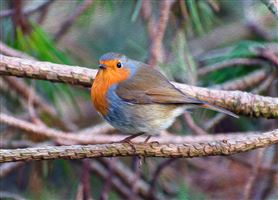 Photography by Malcolm J Smith