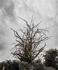 Photography by Malcolm J Smith