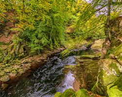 Shot along the River North Esk on the 