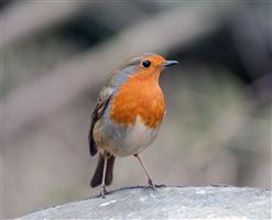 Photography by Malcolm J Smith