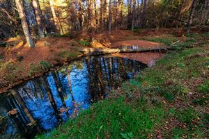Photography by Malcolm J Smith