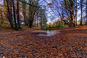 Photography by Malcolm J Smith