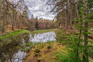 Photography by Malcolm J Smith