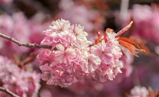 Photography by Malcolm J Smith