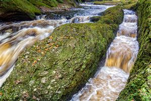 Shot along the River North Esk on the 