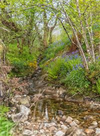 Gem of a spot on the River Orchy

Photography by Malcolm J Smith