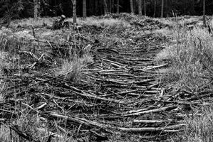 Photography by Malcolm J Smith