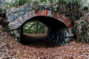 Shot along the River North Esk on the 