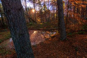 Photography by Malcolm J Smith