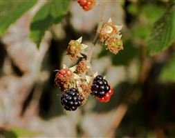 Photography by Malcolm J Smith