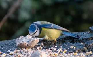 Photography by Malcolm J Smith