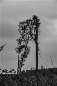 Photography by Malcolm J Smith