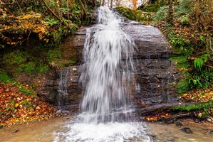 Photography by Malcolm J Smith