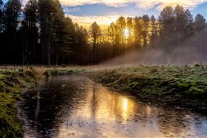 Winter morning sunshine 