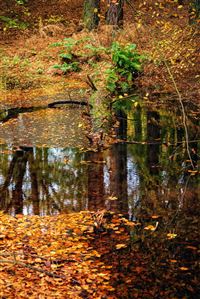 Photography by Malcolm J Smith
