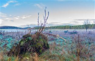 Photography by Malcolm J Smith