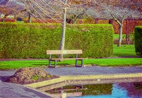 Swannie Ponds, Dundee
Photography by Malcolm J Smith