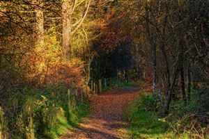 Photography by Malcolm J Smith