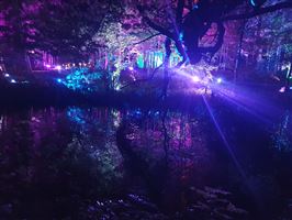 Photography by Malcolm J Smith