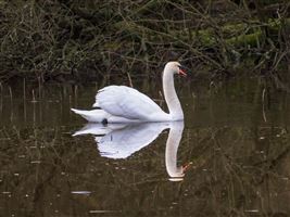 Photography by Malcolm J Smith