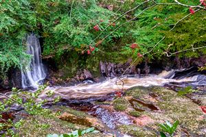 Shot along the River North Esk on the 