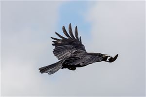 Photography by Malcolm J Smith
