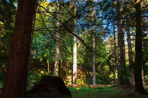 Photography by Malcolm J Smith
