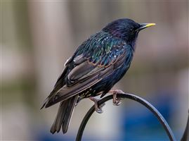 Photography by Malcolm J Smith