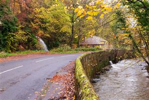 Photography by Malcolm J Smith