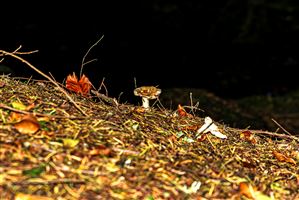 Photography by Malcolm J Smith