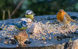 Photography by Malcolm J Smith