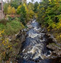 Looking downstream from the bridge in Braemar with lovely autumn colours in view.

Photography by Malcolm J Smith