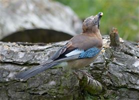 Photography by Malcolm J Smith