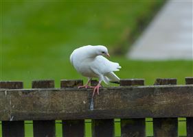 Photography by Malcolm J Smith