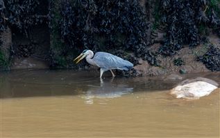 Photography by Malcolm J Smith